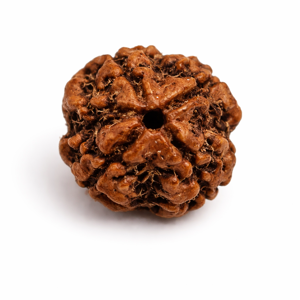 4 Mukhi Rudraksha: The Bead of Wisdom