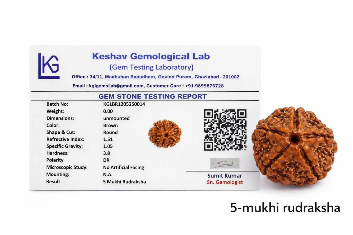 5 Mukhi Rudraksha: The Bead of Wellness & Peace