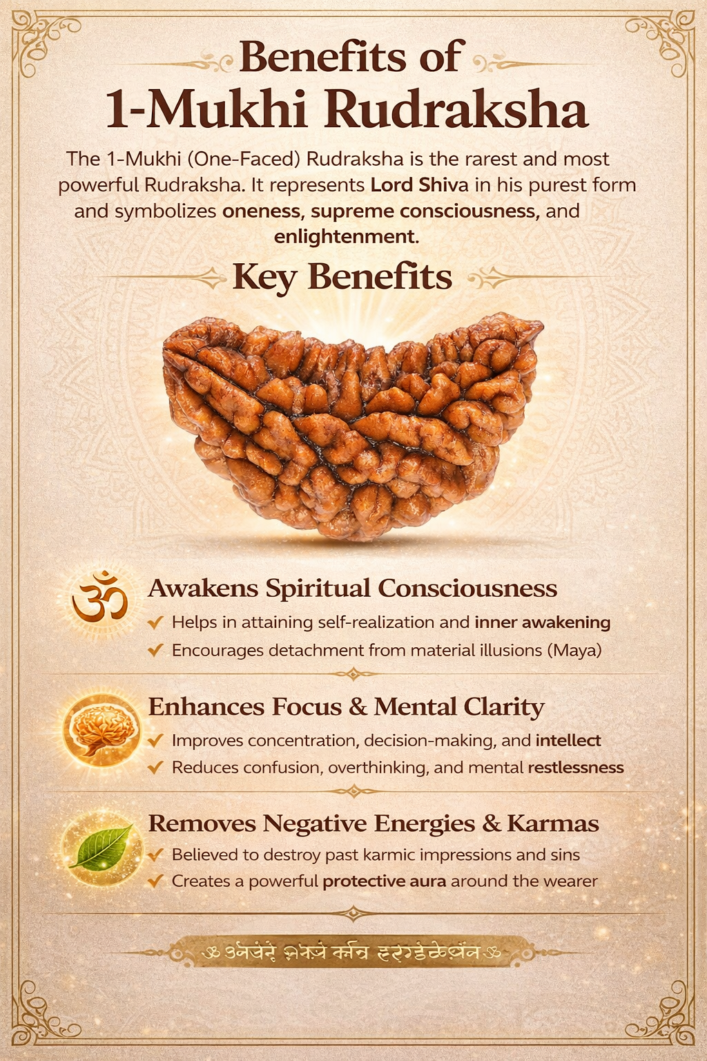 1 Mukhi Rudraksha (The Eye of Shiva)