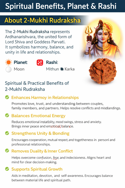 2 Mukhi Rudraksha: The Bead of Unity
