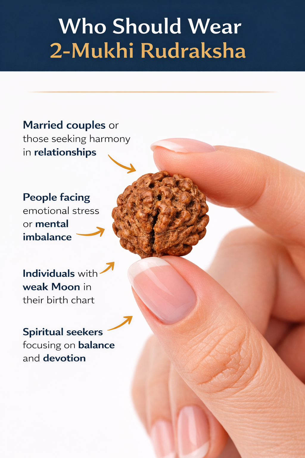 2 Mukhi Rudraksha: The Bead of Unity