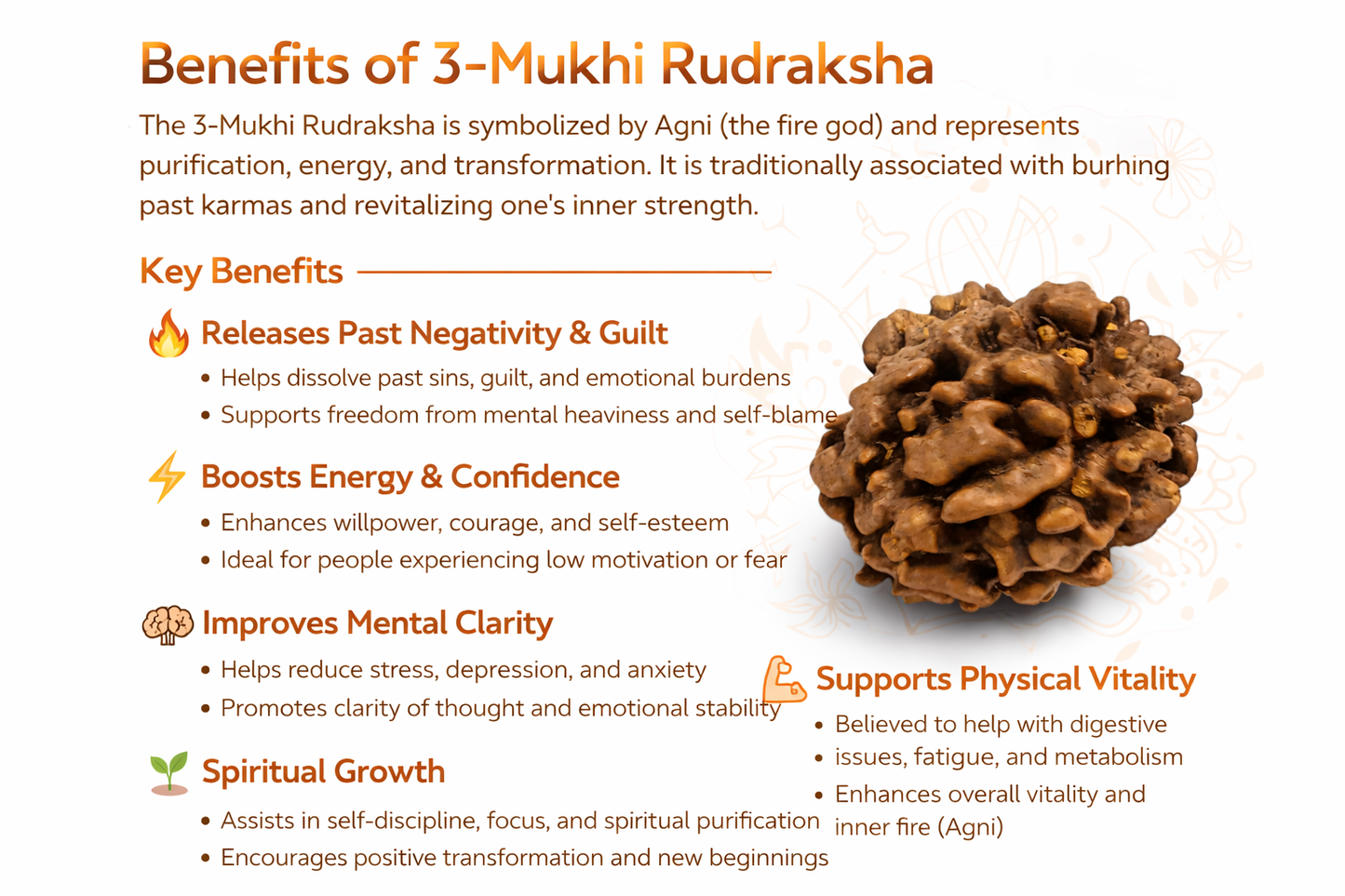 3 Mukhi Rudraksha: The Bead of Transformation