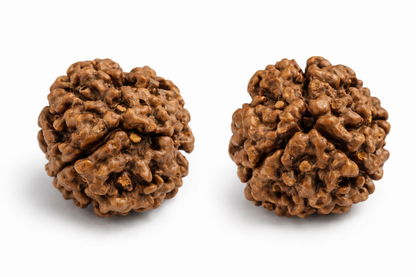 3 Mukhi Rudraksha: The Bead of Transformation
