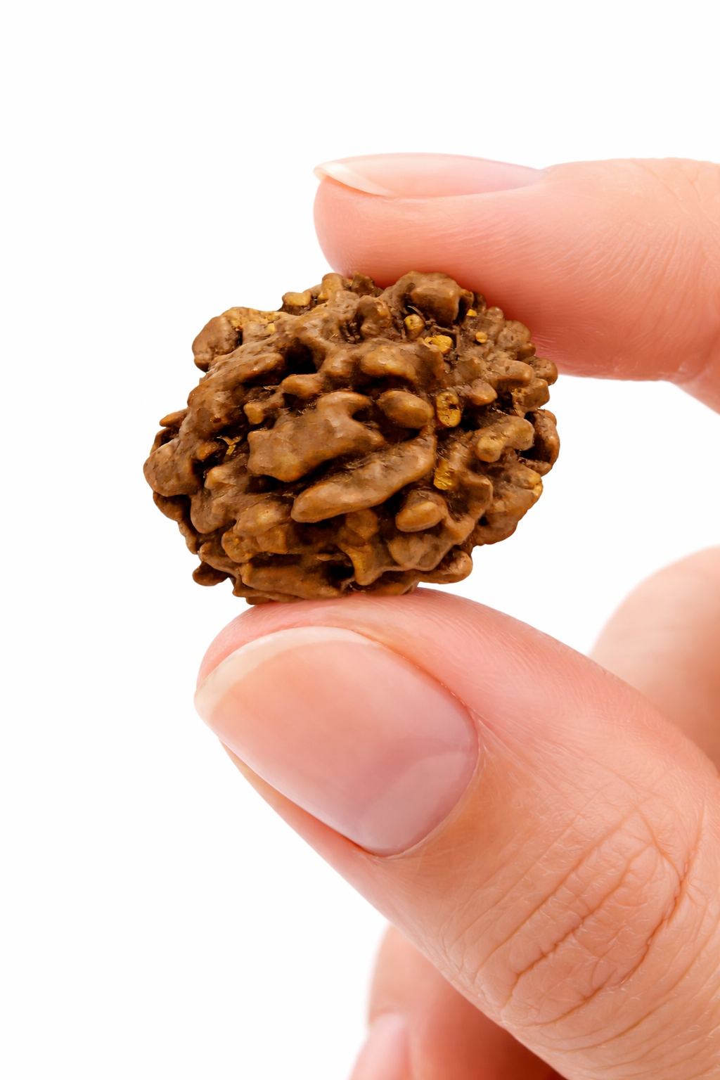 3 Mukhi Rudraksha: The Bead of Transformation