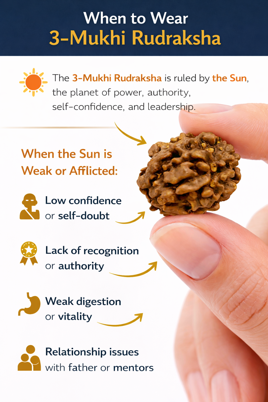 3 Mukhi Rudraksha: The Bead of Transformation