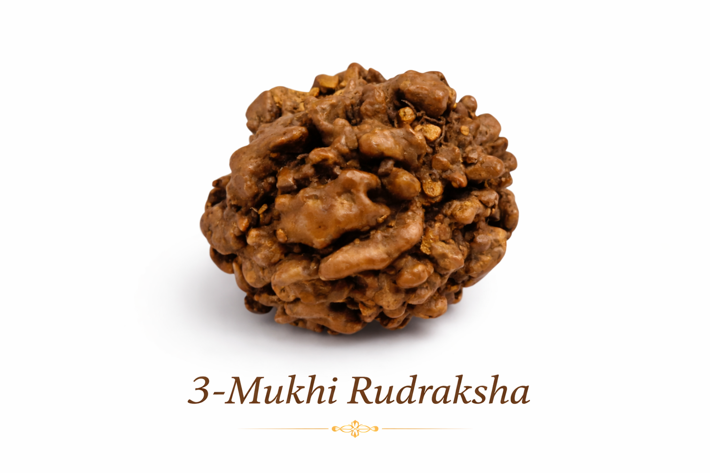 3 Mukhi Rudraksha: The Bead of Transformation
