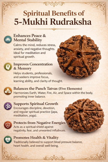 5 Mukhi Rudraksha: The Bead of Wellness & Peace