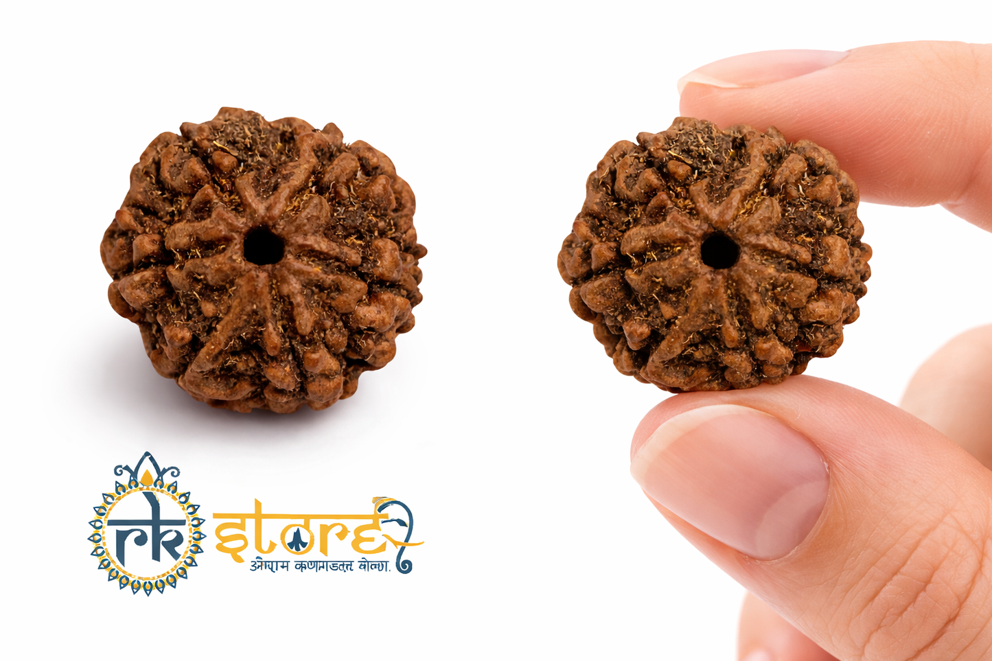 6 Mukhi Rudraksha: The Bead of Courage & Charm