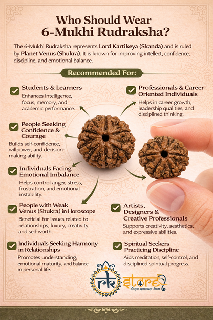 6 Mukhi Rudraksha: The Bead of Courage & Charm