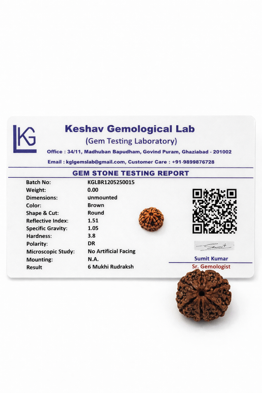 6 Mukhi Rudraksha: The Bead of Courage & Charm