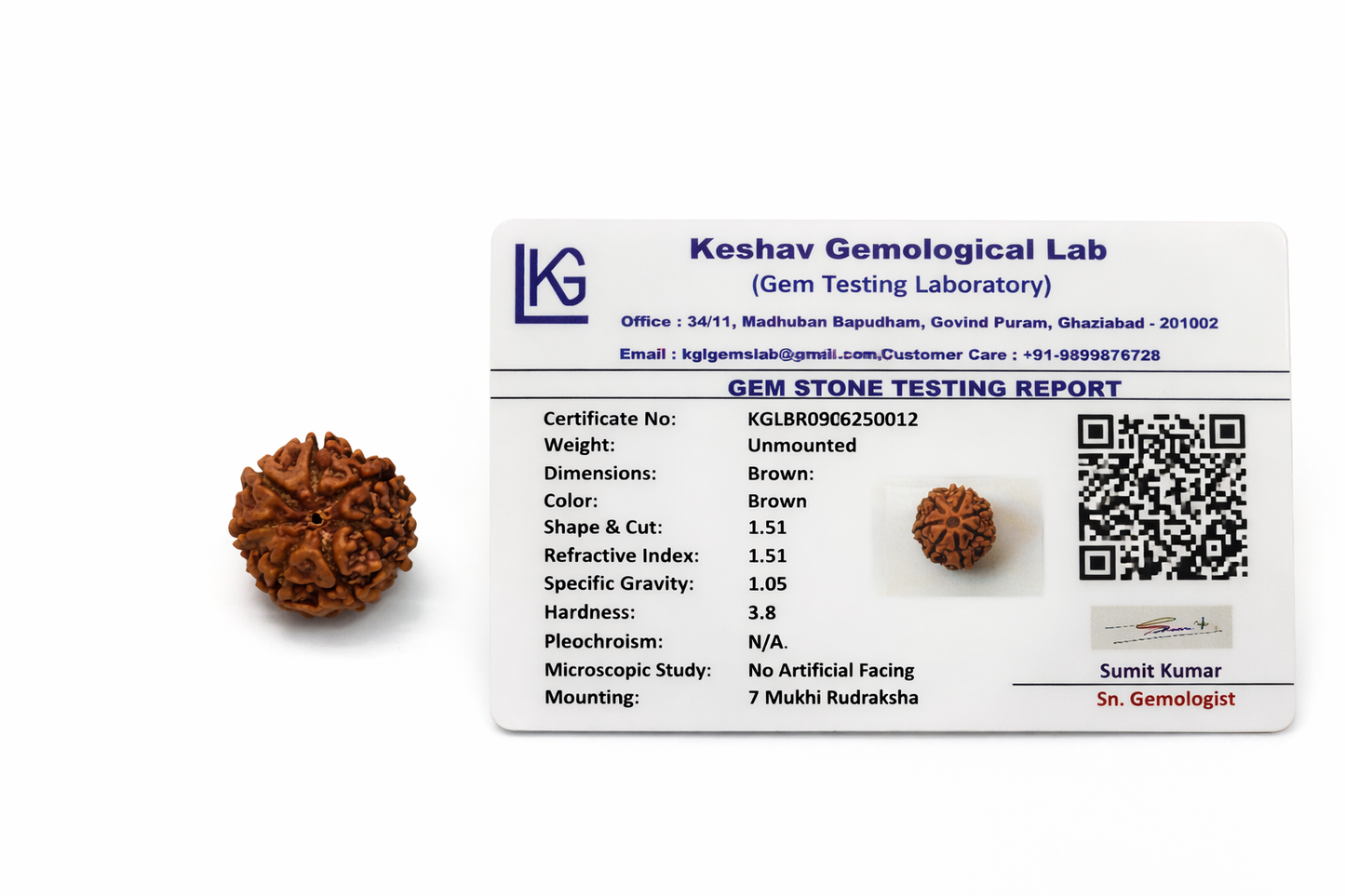 7 Mukhi Rudraksha: The Bead of Prosperity & Wealth