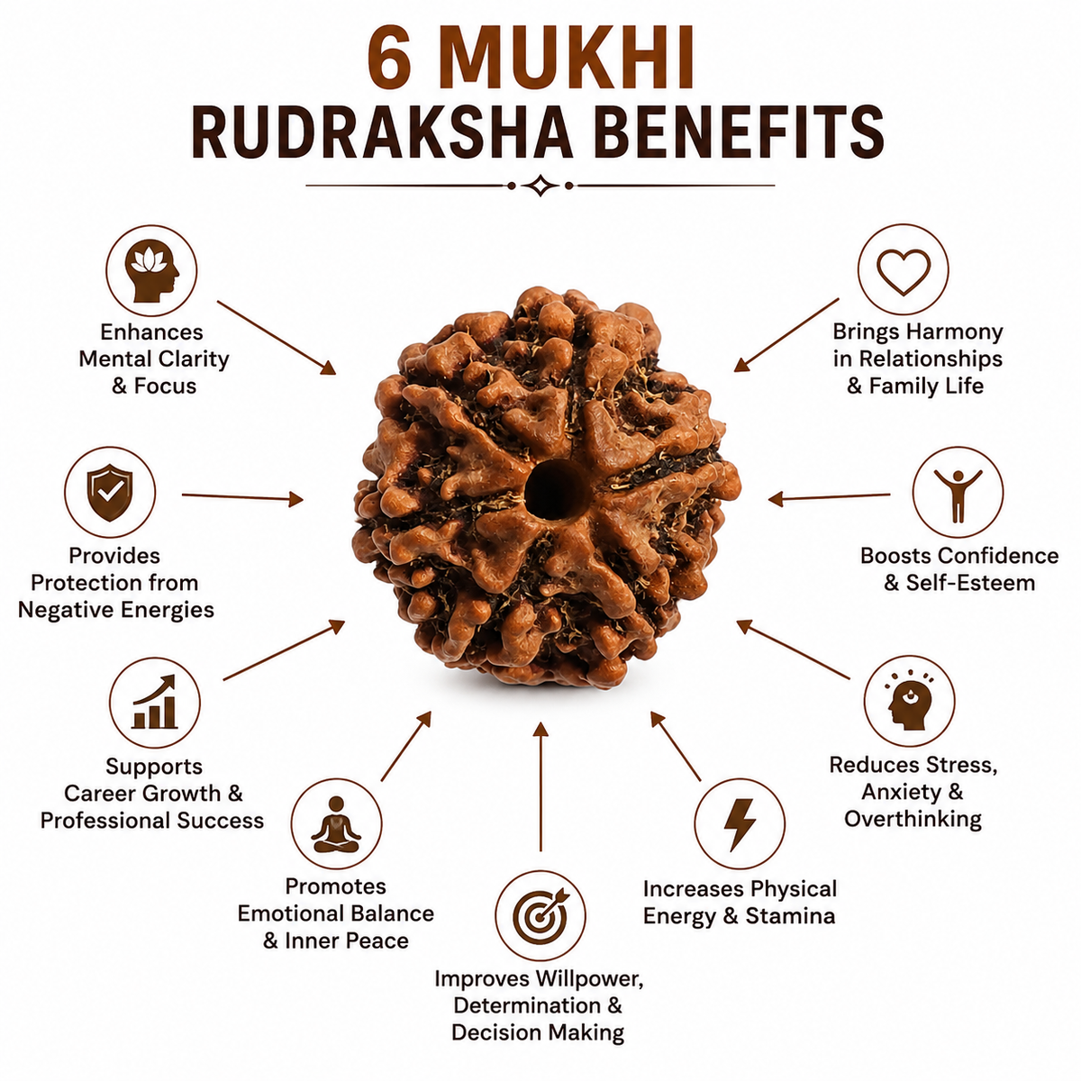 6 Mukhi Rudraksha: The Bead of Courage & Charm