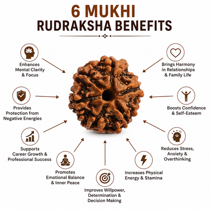 6 Mukhi Rudraksha: The Bead of Courage & Charm