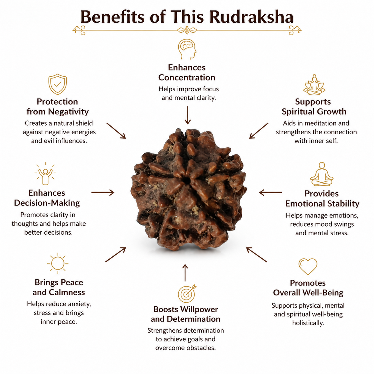 5 Mukhi Rudraksha: The Bead of Wellness & Peace