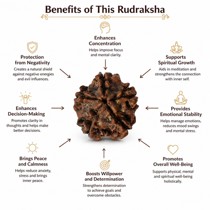 5 Mukhi Rudraksha: The Bead of Wellness & Peace
